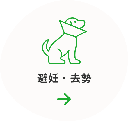 避妊・去勢