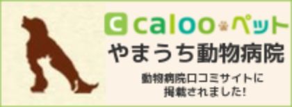 動物病院口コミ calooペット